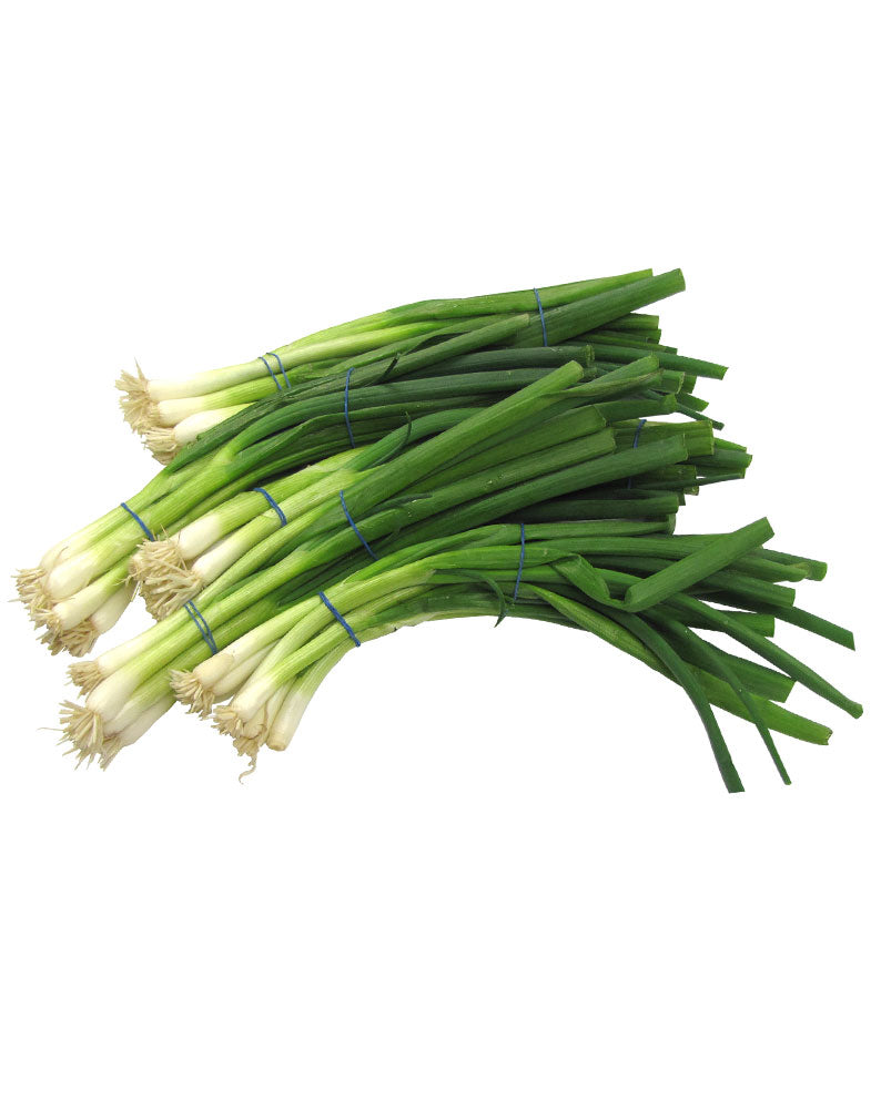 Green Onion（4 Bunch）