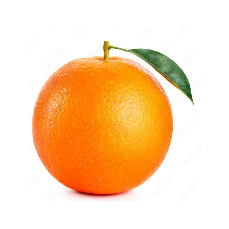 Large Orange（Ea）