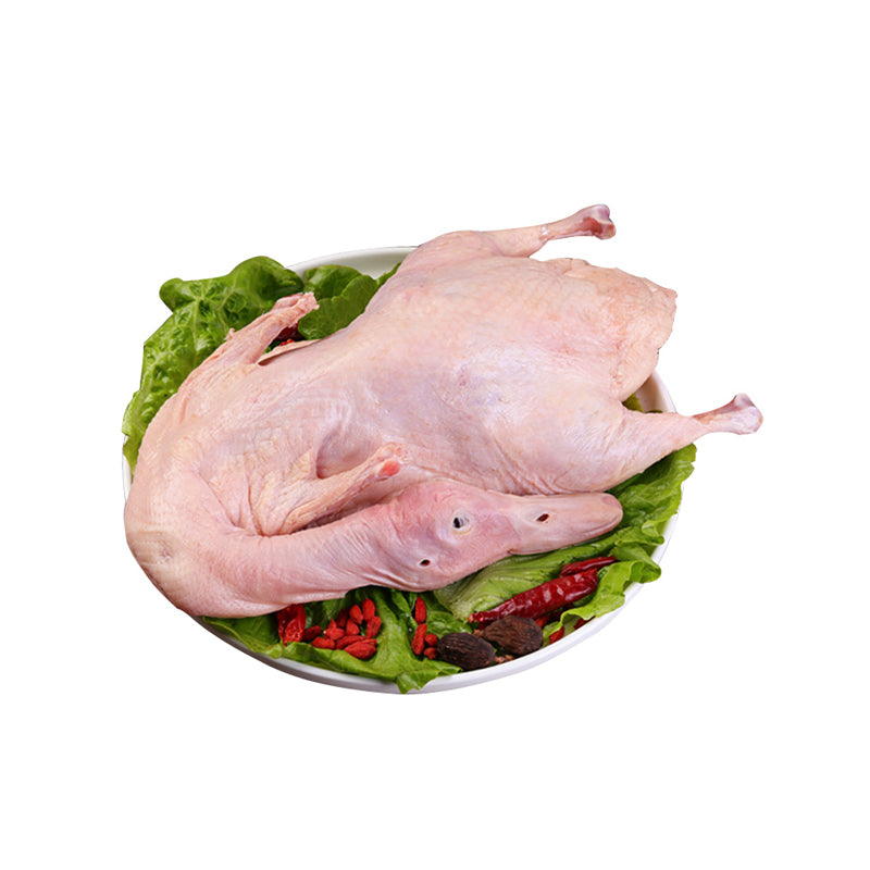 Fresh Whole Duck（ By Price Tag）