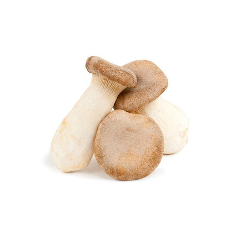 Japanese King Oyster Mushroom（By Price Tag）