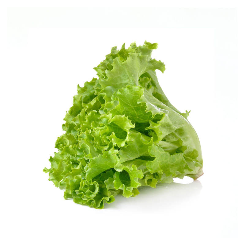 Green Leave Lettuce ( Ea )