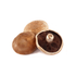 Portobello Mushroom（By Price Tag）