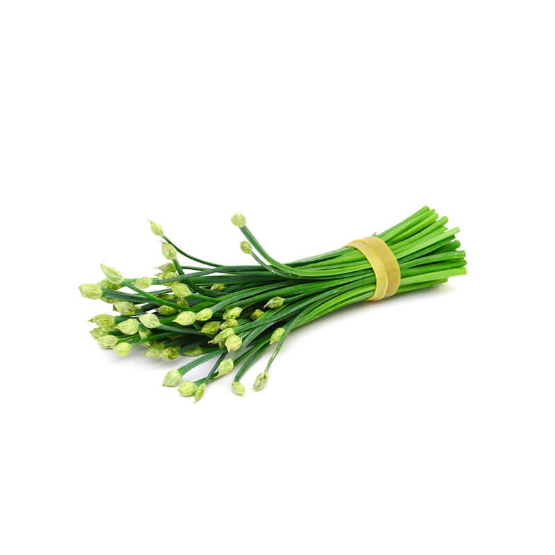 Chive Flower（Bunch）