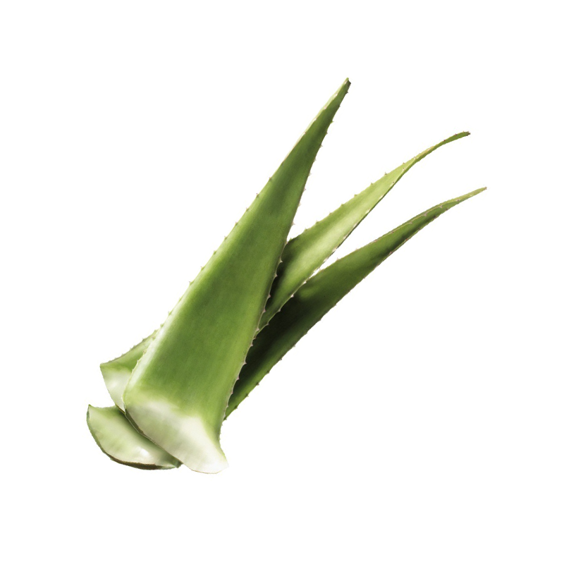 Aloe（By Weight）