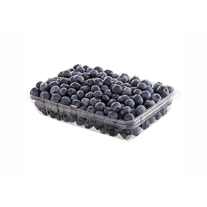 Fresh Blueberries（312g）
