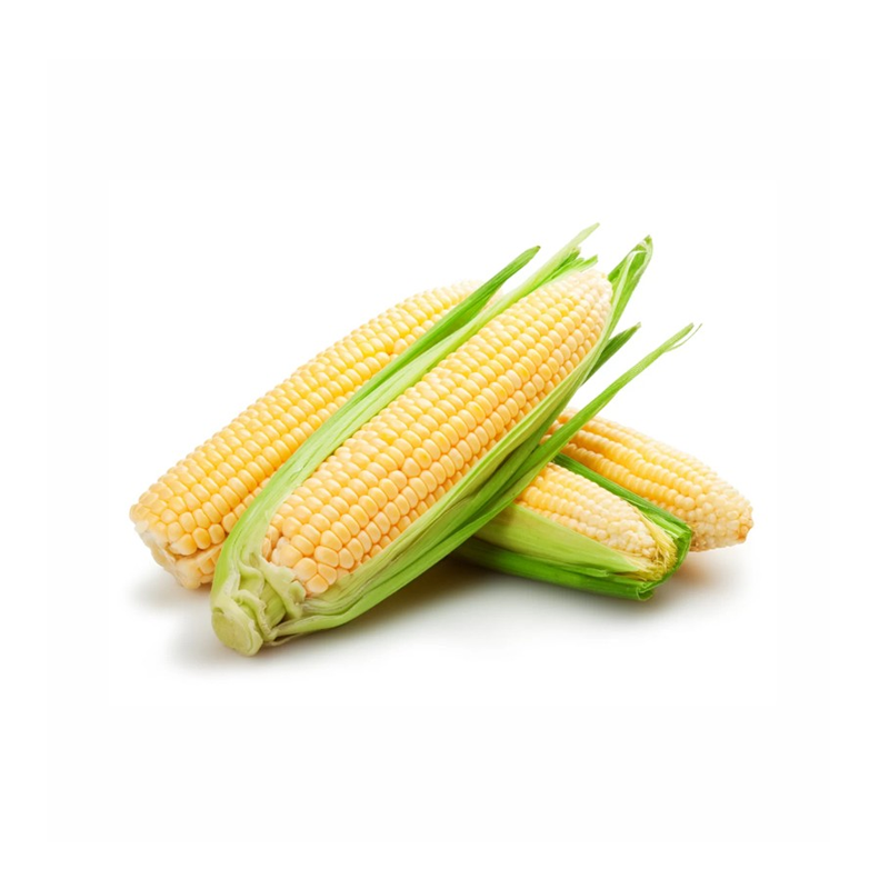 Fresh Corn ( Pack )