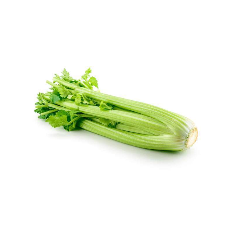 No.1 Celery（Bunch）