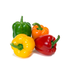Color Sweet Pepper（By Price Tag）