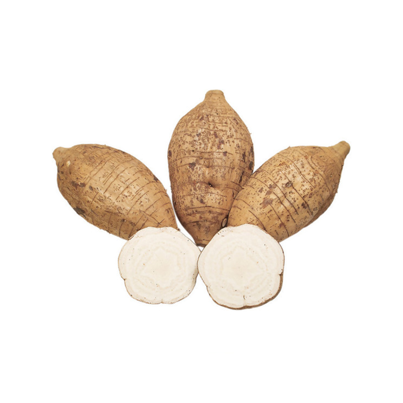 Arrow Root ( Ea )